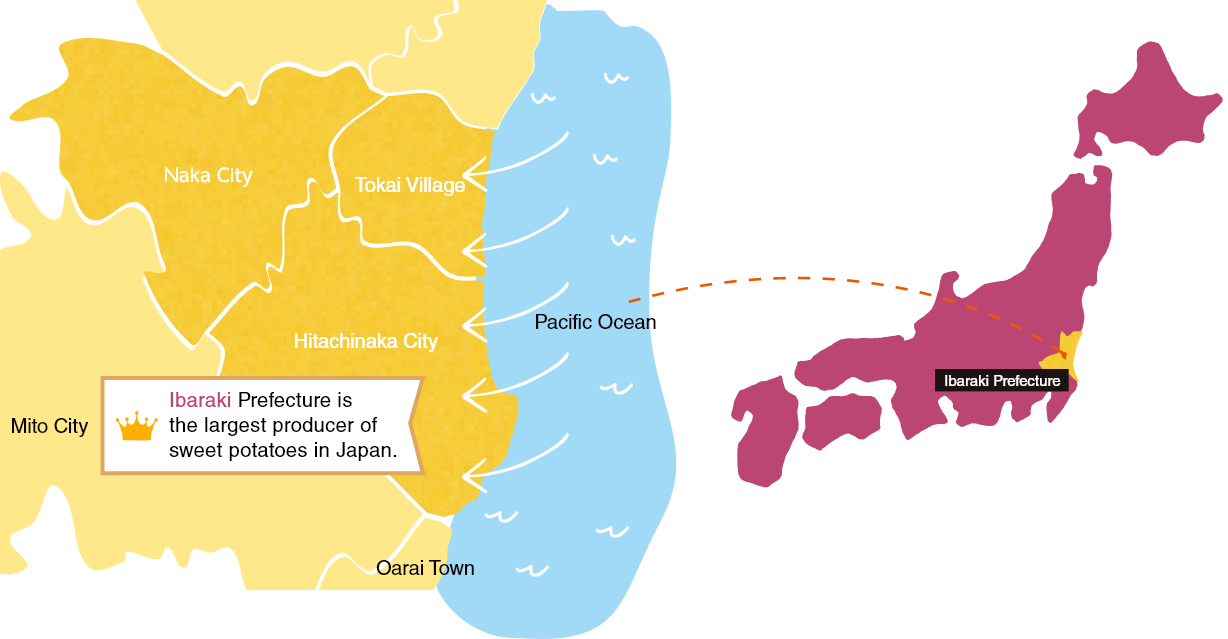 Ibaraki Prefecture is the largest producer of sweet potatoes in Japan.